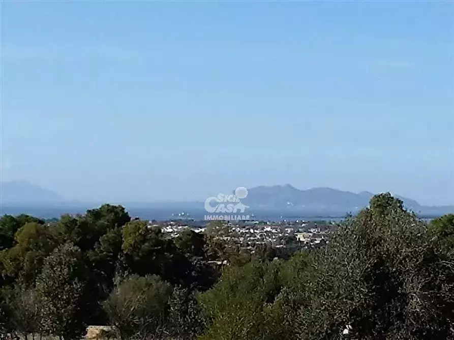 Immagine 2 di Terreno in vendita  a Marsala