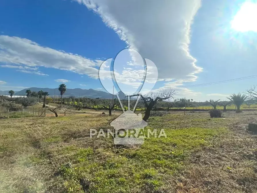 Immagine 23 di Terreno edificabile in vendita  in Contrada Bosco Falconeria a Partinico