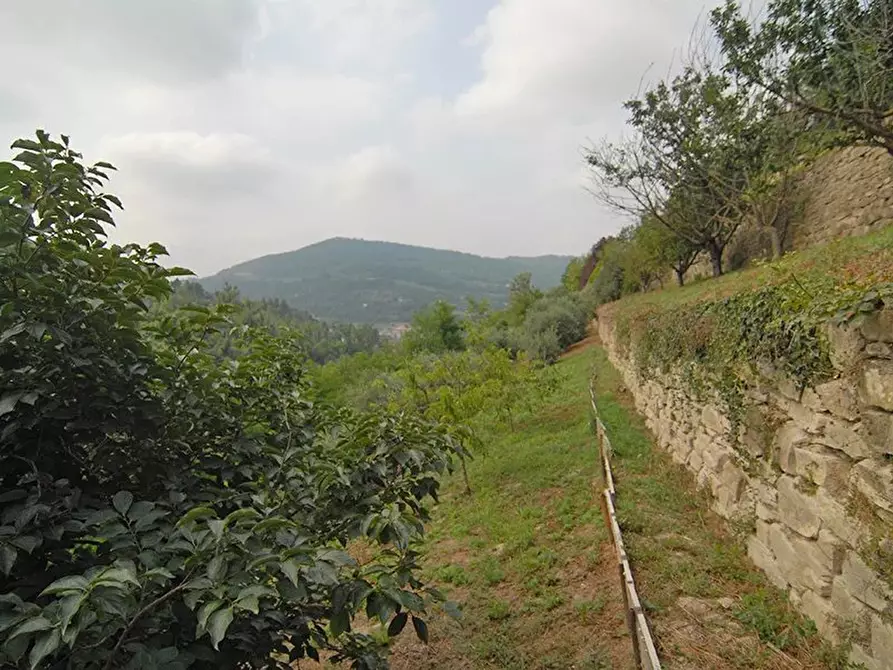 Immagine 17 di Terreno edificabile in vendita  a Bergolo