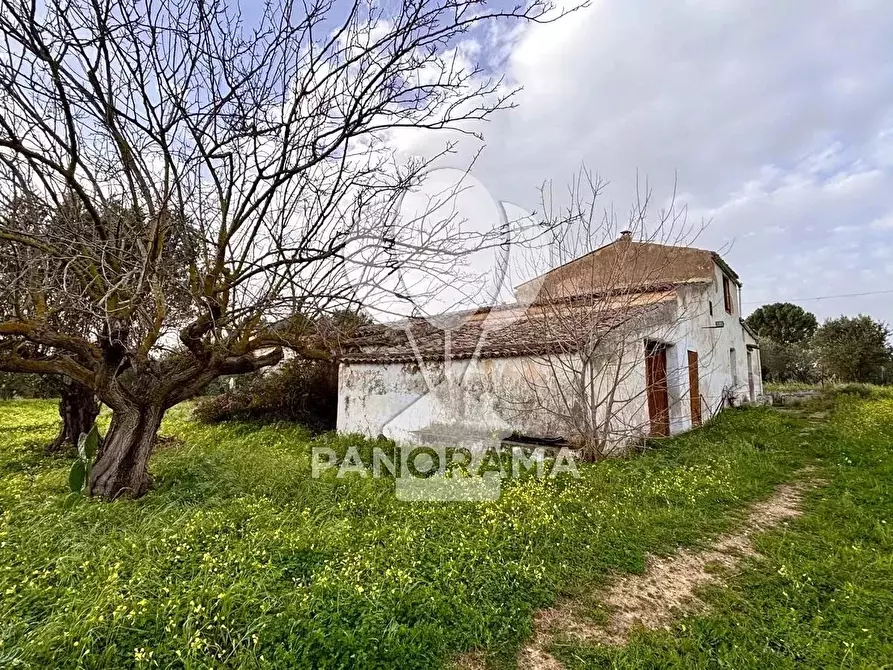 Immagine 12 di Terreno edificabile in vendita  in Contrada Bosco Falconeria SNC, 90047 Partinico PA, Italy a Partinico