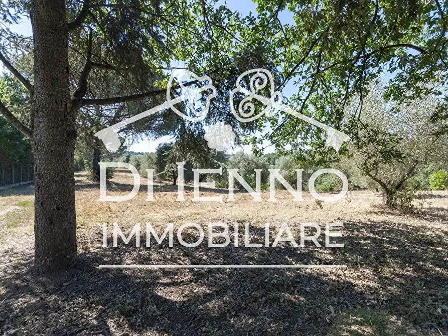 Immagine 2 di Terreno in vendita  a Roma