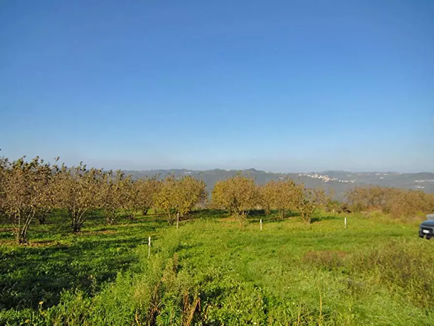 Immagine 2 di Terreno edificabile in vendita  a Albaretto Della Torre
