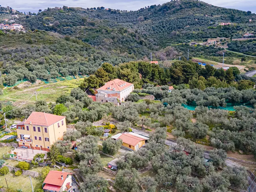 Immagine 5 di Terreno edificabile in vendita  a Imperia