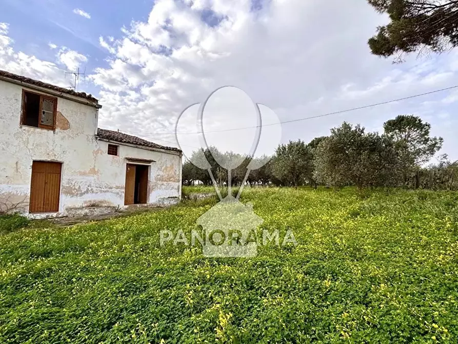 Immagine 17 di Terreno edificabile in vendita  in Contrada Bosco Falconeria SNC, 90047 Partinico PA, Italy a Partinico