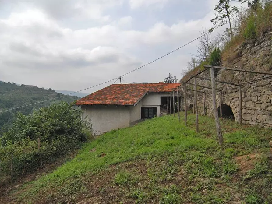 Immagine 20 di Terreno edificabile in vendita  a Bergolo