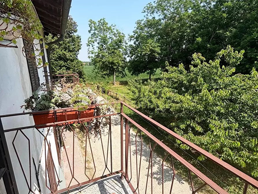 Immagine 14 di Terreno edificabile in vendita  in Via Boschi, snc a Alagna