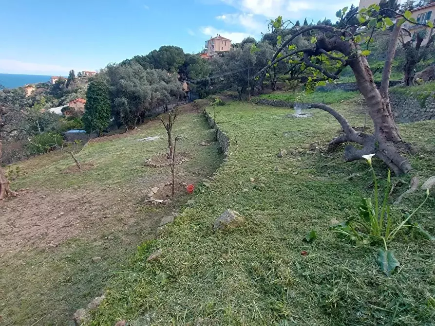 Immagine 7 di Terreno edificabile in vendita  a San Remo