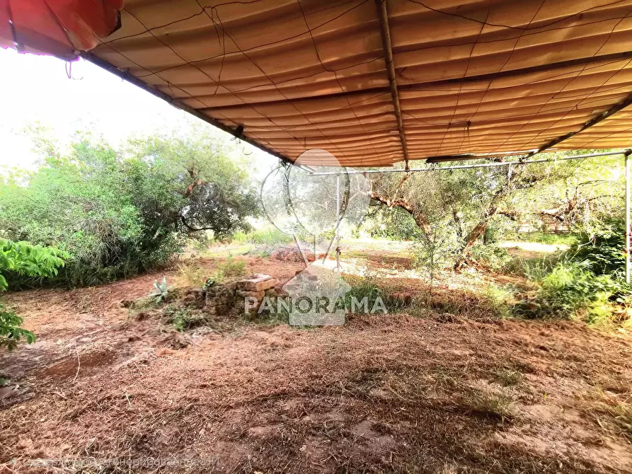 Immagine 11 di Terreno edificabile in vendita  in SS113 a Partinico
