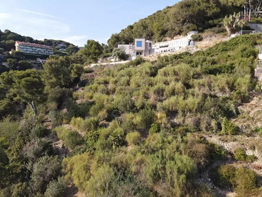 Immagine 5 di Terreno edificabile in vendita  a Bordighera