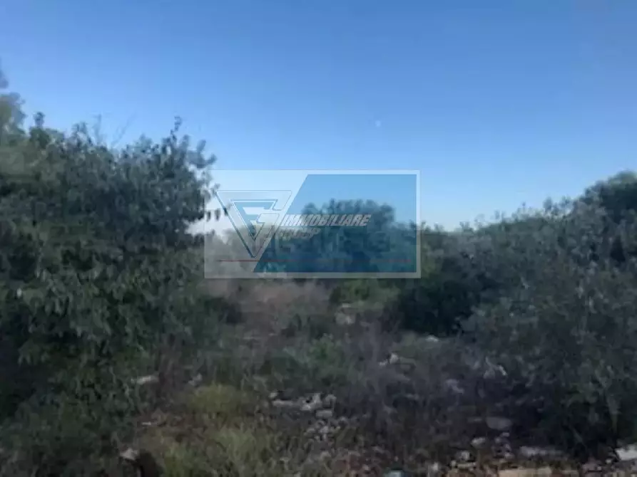 Immagine 8 di Terreno in vendita  in Via Brancati a Buccheri