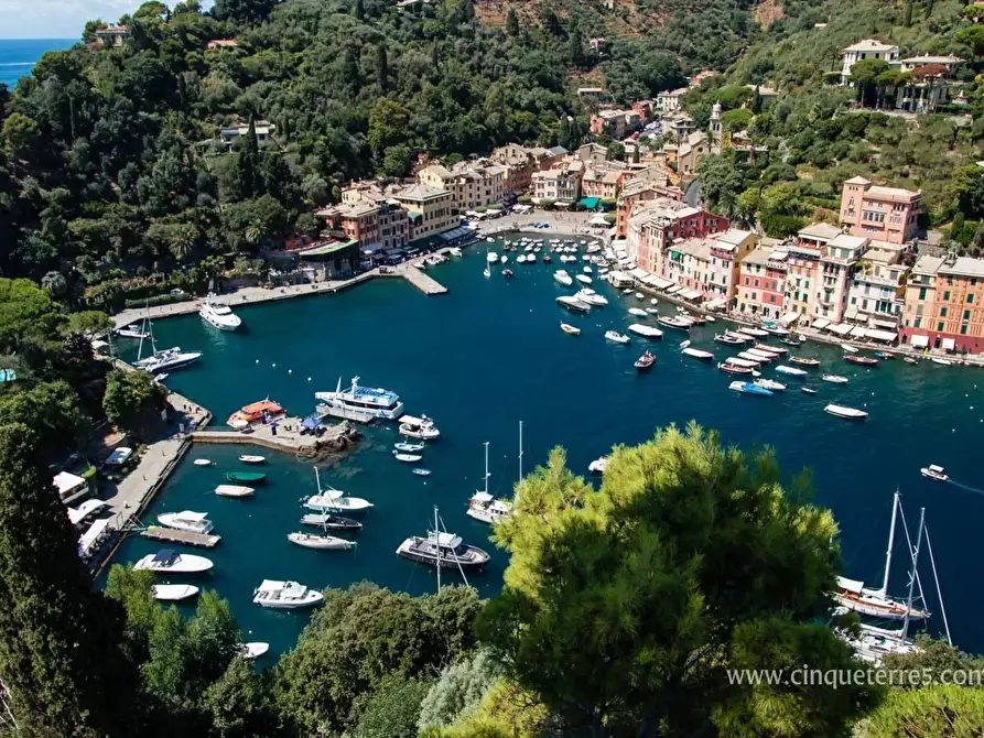 Immagine 5 di Casa trifamiliare in vendita  a Portofino