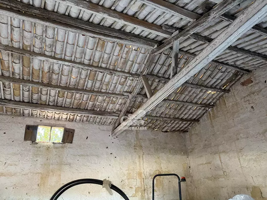 Immagine 9 di Terreno edificabile in vendita  a Marsala