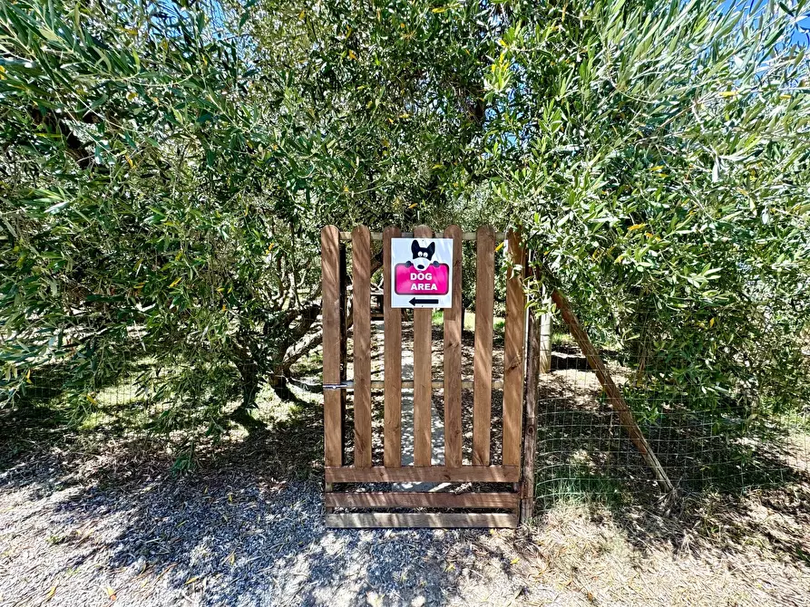 Immagine 44 di Casa trifamiliare in vendita  in via Aurelia Sud, 55. a San Vincenzo