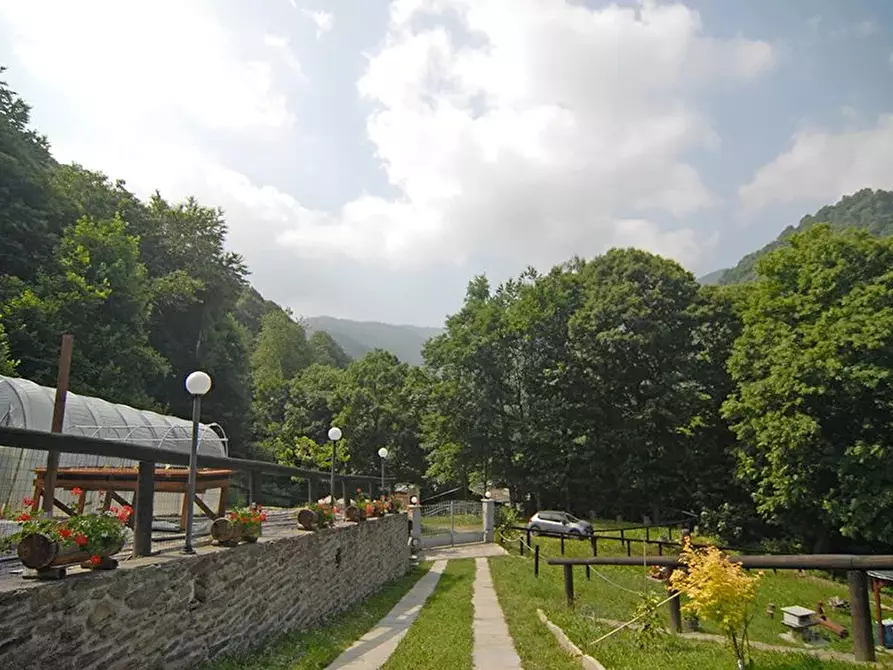 Immagine 7 di Terreno edificabile in vendita  a Bellino