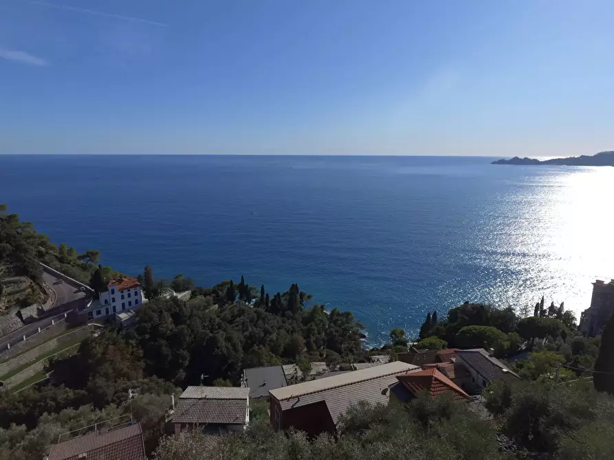 Immagine 23 di Terreno edificabile in vendita  in San Pietro de Rovereto a Avegno