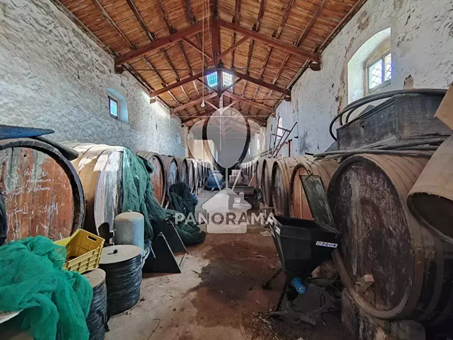 Immagine 34 di Terreno edificabile in vendita  in Contrada Fico a Alcamo