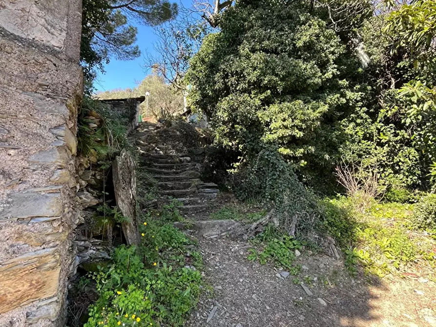 Immagine 5 di Terreno edificabile in vendita  in paggi a Carasco