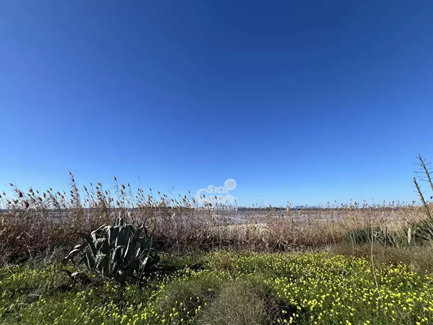 Immagine 18 di Terreno in vendita  a Marsala