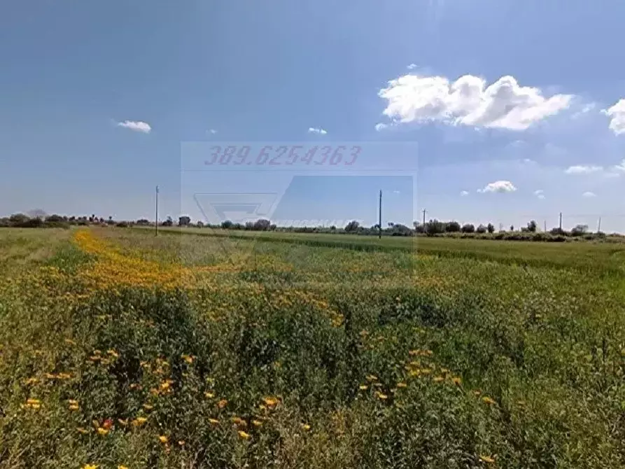 Immagine 8 di Terreno in vendita  in Strada Benali a Siracusa