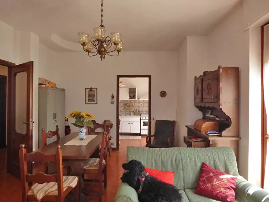 Immagine 12 di Terreno edificabile in vendita  a Albaretto Della Torre