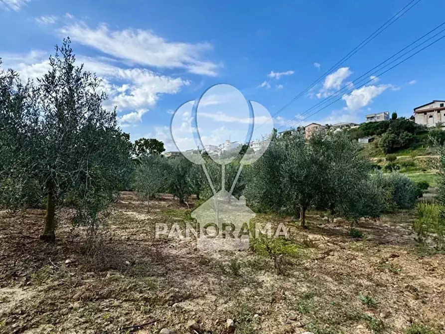 Immagine 10 di Terreno in vendita  in Contrada Timpi Rossi a Alcamo