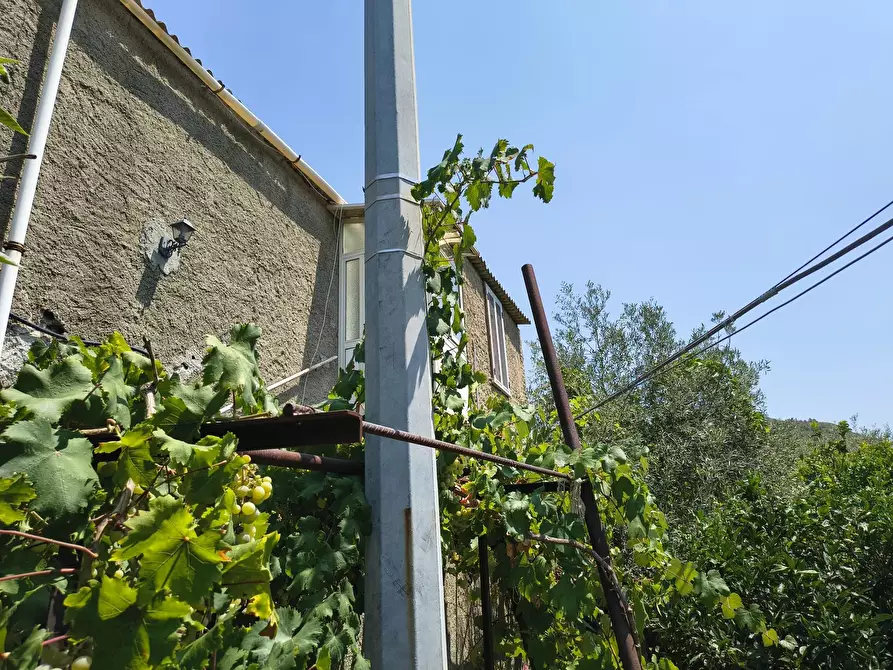 Immagine 15 di Terreno edificabile in vendita  a Messina