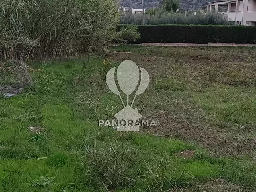 Immagine 3 di Terreno in vendita  in Rurale 14 a Partinico