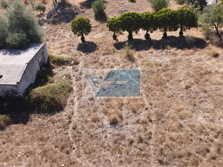 Immagine 12 di Terreno in vendita  a Avola