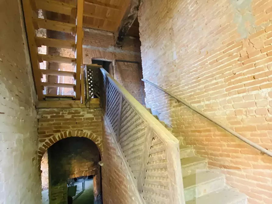 Immagine 3 di Terreno edificabile in vendita  a Bassignana