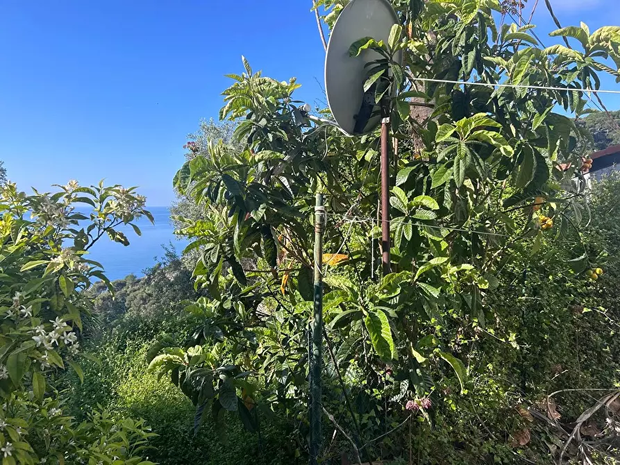 Immagine 17 di Casa trifamiliare in vendita  a Ventimiglia