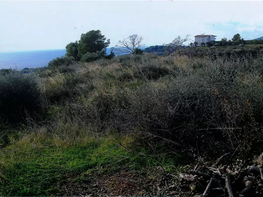 Immagine 2 di Terreno in vendita  a Amendolara