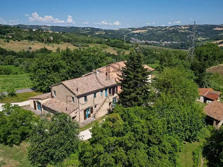 Immagine 24 di Terreno edificabile in vendita  in Serra San Quirico a Serra San Quirico