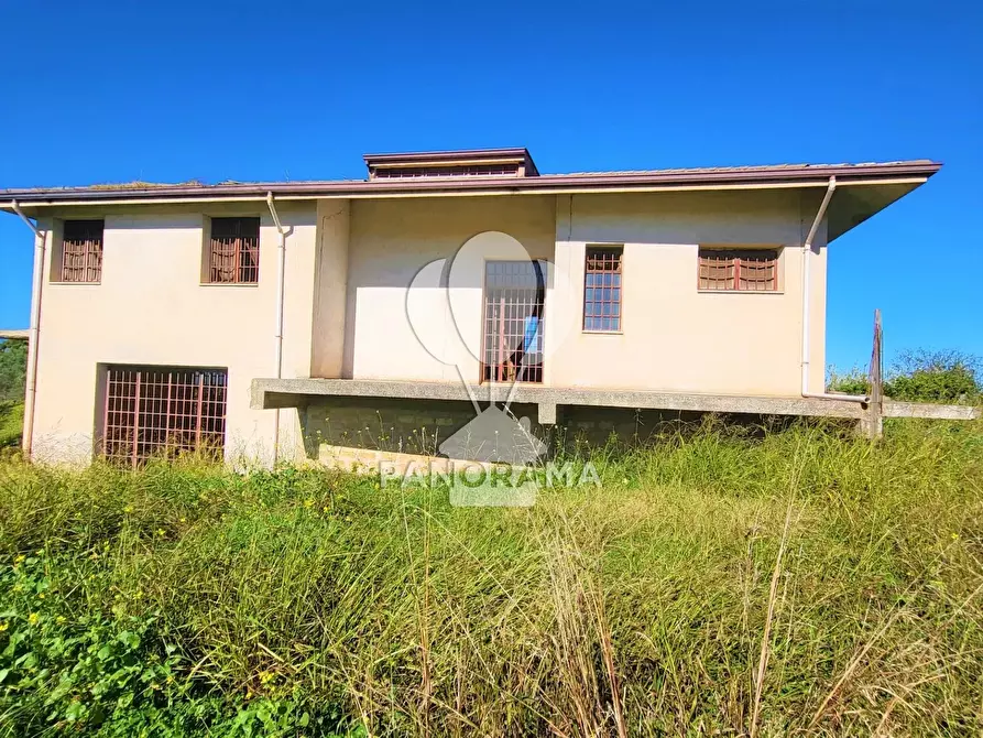Immagine 3 di Terreno edificabile in vendita  in Contrada Bosco Falconeria a Partinico