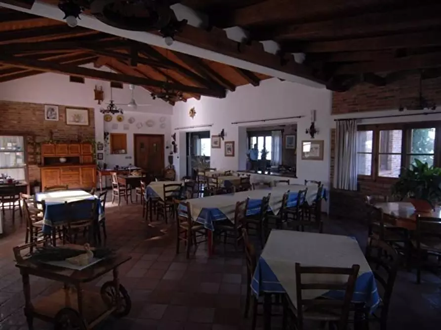 Immagine 9 di Terreno edificabile in vendita  a Dogliani