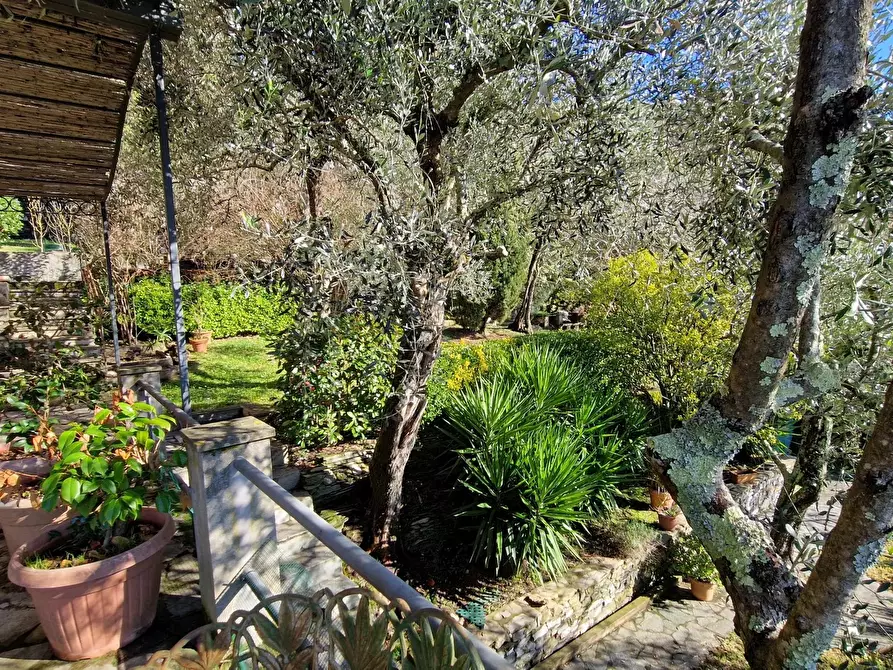Immagine 28 di Terreno edificabile in vendita  in Via Domenico Canata a Avegno