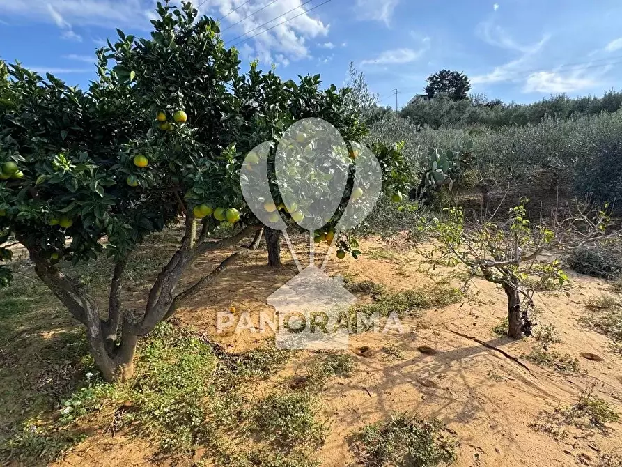 Immagine 14 di Terreno in vendita  in Contrada Timpi Rossi a Alcamo