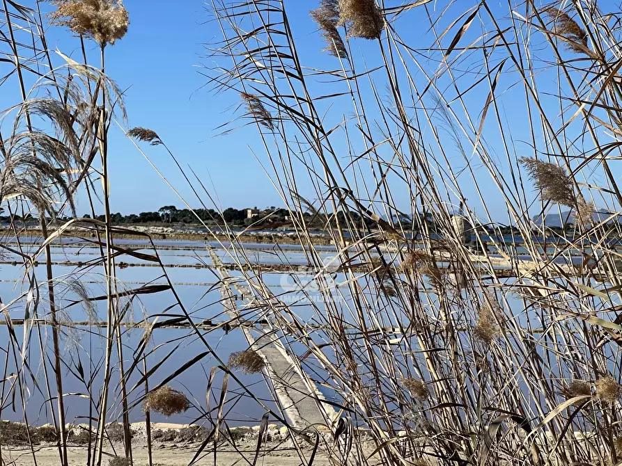 Immagine 16 di Terreno in vendita  a Marsala