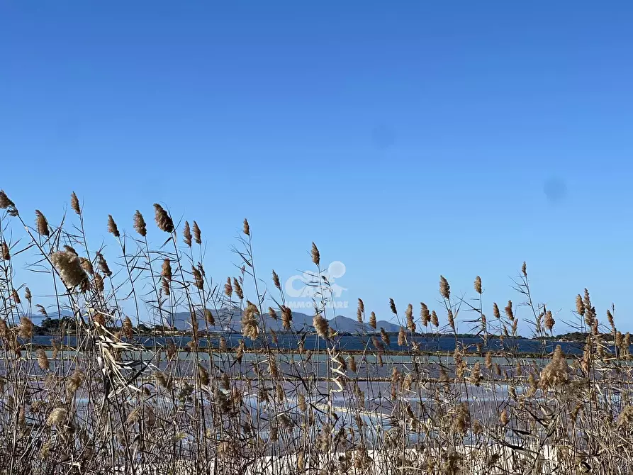 Immagine 19 di Terreno in vendita  a Marsala