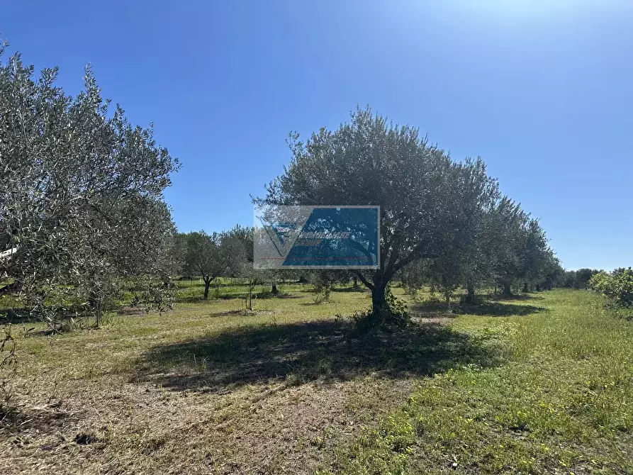 Immagine 15 di Terreno in vendita  a Noto