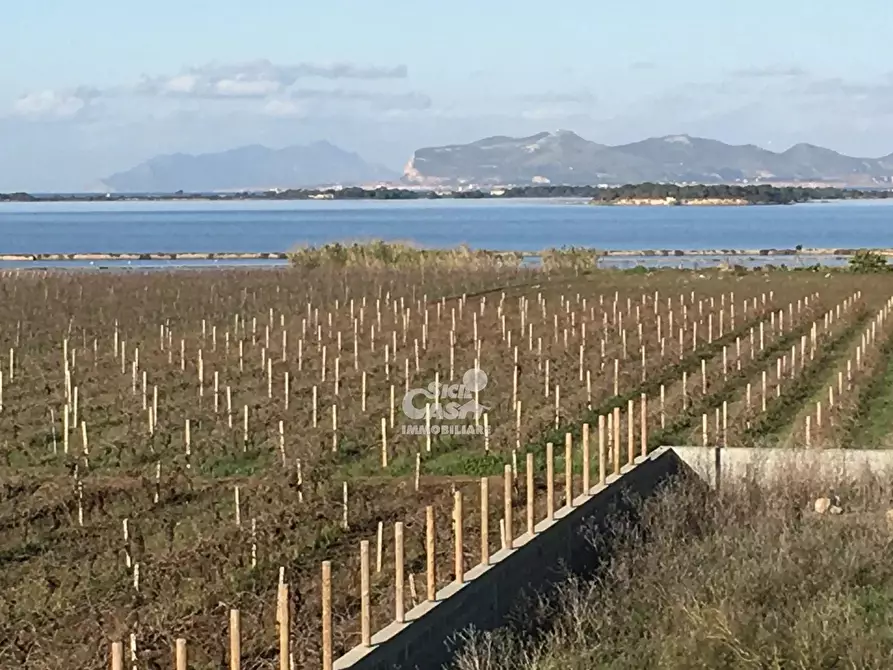 Immagine 12 di Terreno edificabile in vendita  a Marsala