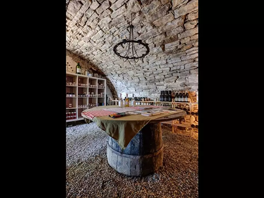 Immagine 12 di Terreno edificabile in vendita  a Bergolo