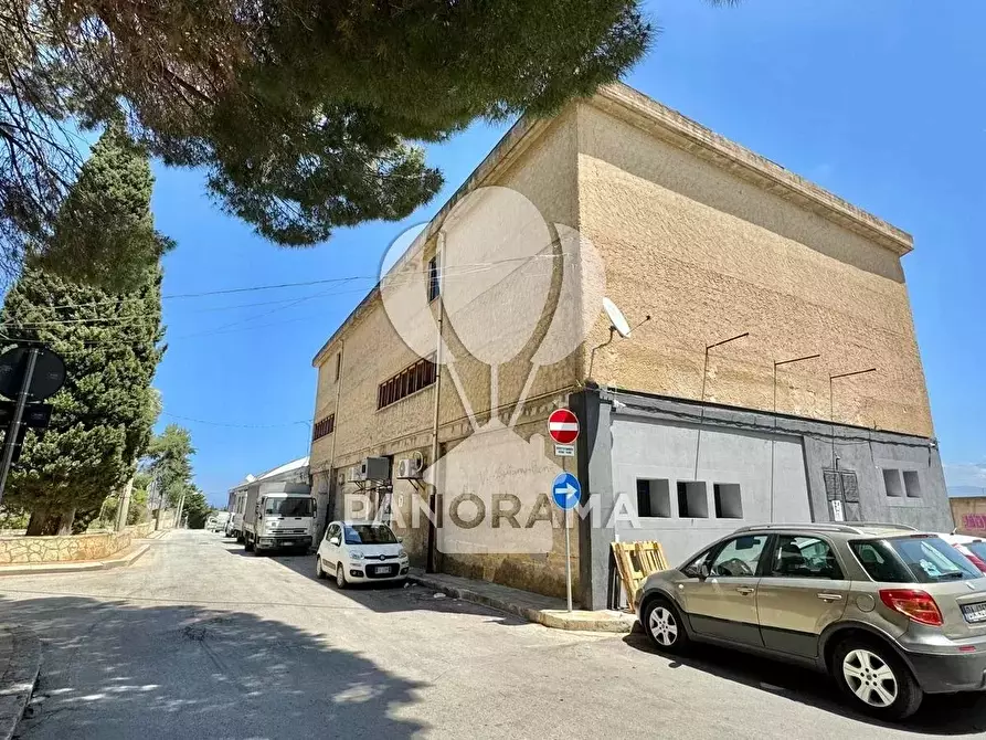 Immagine 21 di Terreno edificabile in vendita  in via galileo galilei a Castellammare Del Golfo