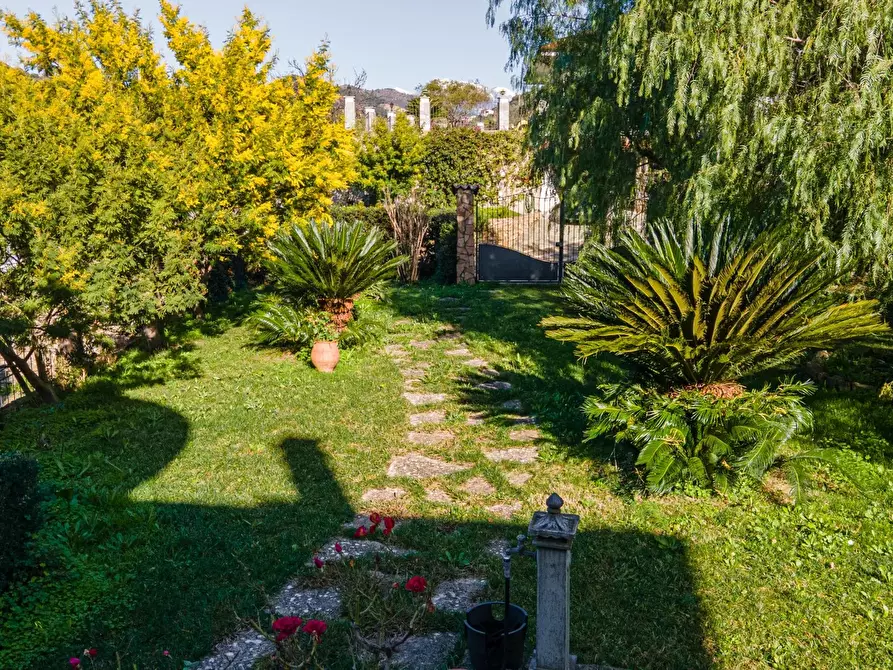 Immagine 32 di Terreno edificabile in vendita  in regione nofea vallecrosia a Vallecrosia