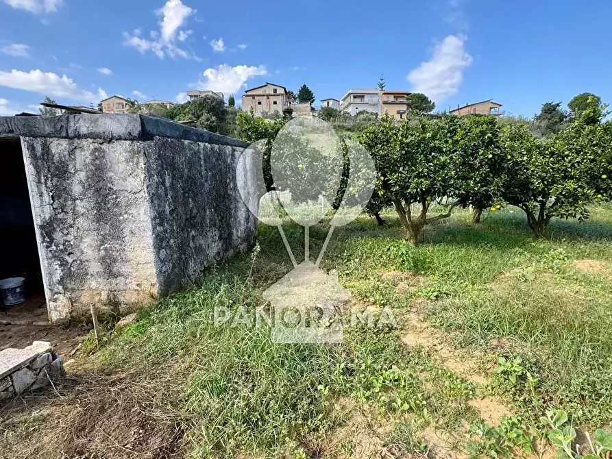 Immagine 6 di Terreno in vendita  in Contrada Timpi Rossi a Alcamo