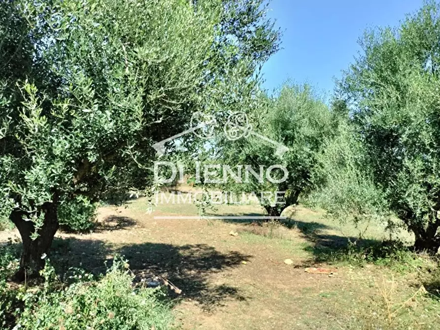 Immagine 73 di Terreno edificabile in vendita  in Strada Valle del Dragone a Arlena Di Castro