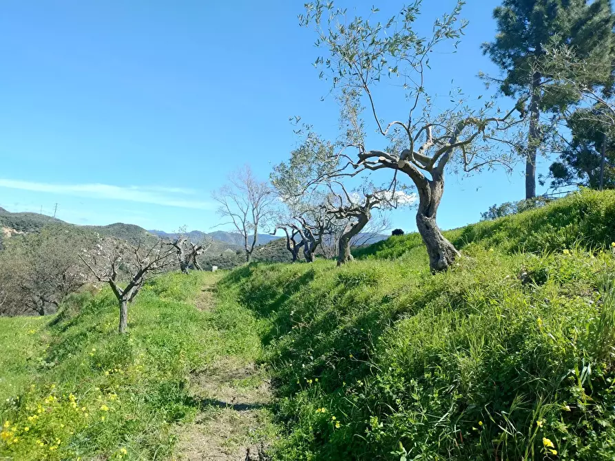 Immagine 16 di Terreno in vendita  in Contrada Bosco, roccavaldina, me a Condrò