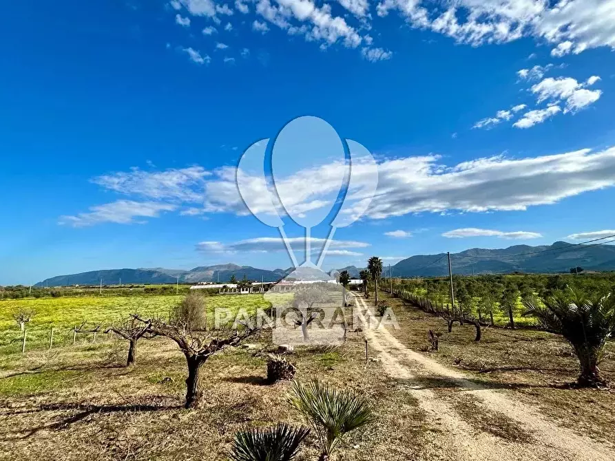 Immagine 11 di Terreno edificabile in vendita  in Contrada Bosco Falconeria a Partinico