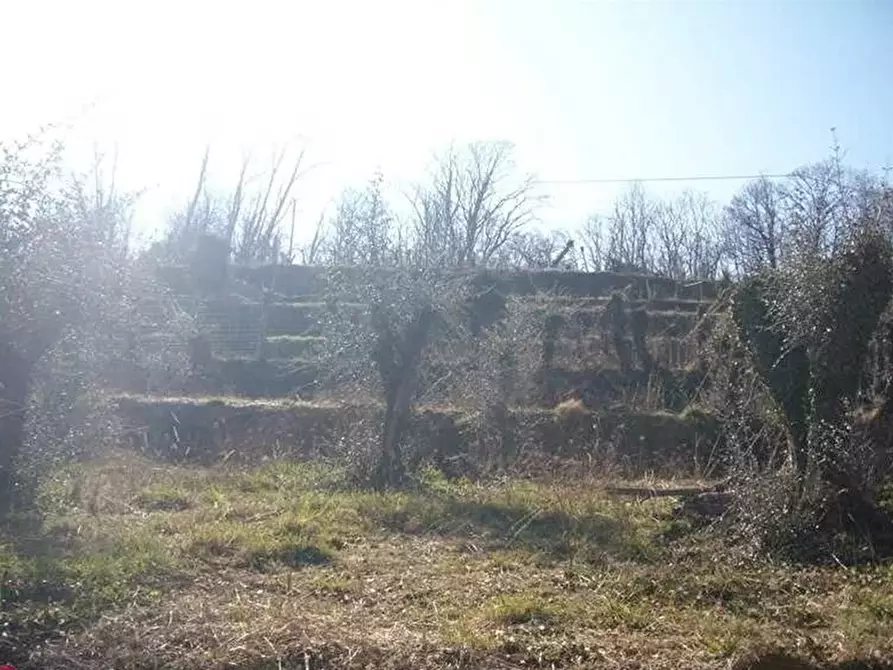 Immagine 5 di Terreno edificabile in vendita  in Via Tolceto a Coreglia Ligure