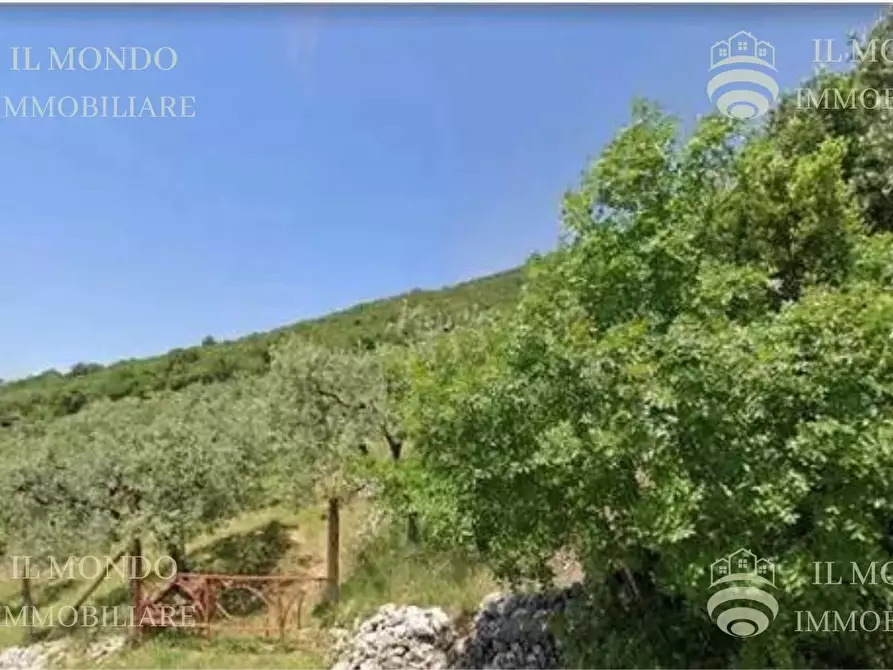 Immagine 1 di Terreno in vendita  in Strada di Piedimonte, snc. a Palombara Sabina