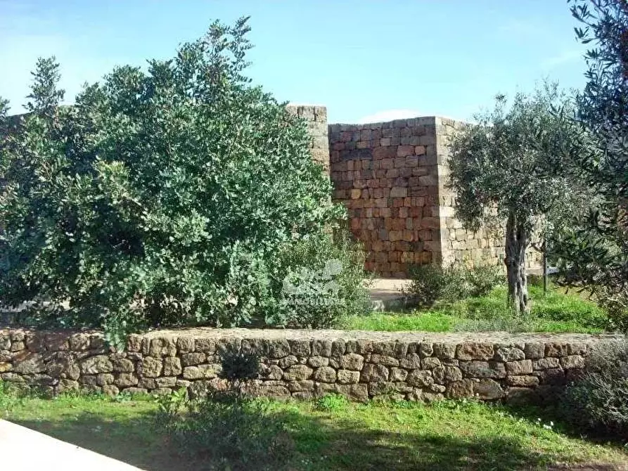 Immagine 7 di Terreno edificabile in vendita  a Pantelleria